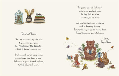 Brown Bear Wood: Wisdom of The Woods