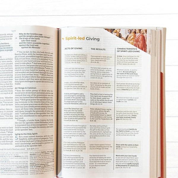 CSB Student Study Ginger Bible
