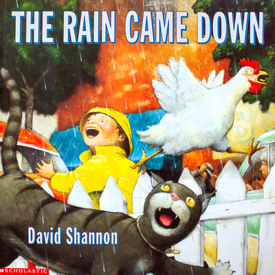 Rain Came down - Readers Warehouse