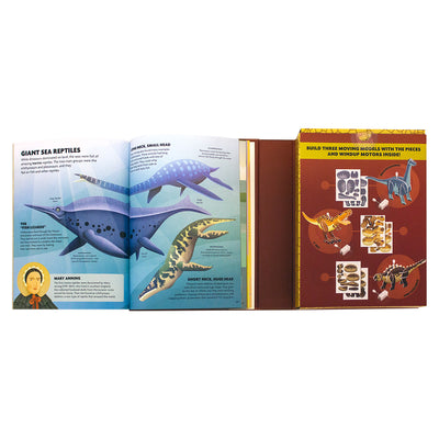 Build Ann Discover Dinosaurs and Flying Reptiles