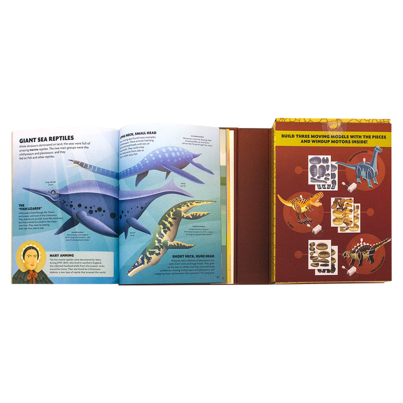 Build Ann Discover Dinosaurs and Flying Reptiles