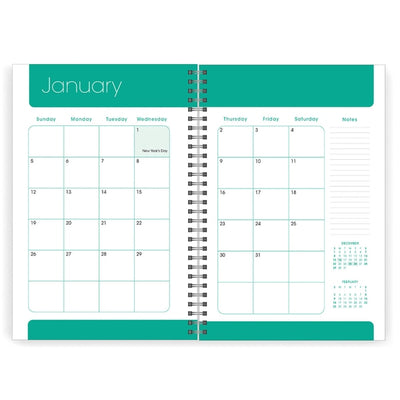 Daily Planner 2025 Bloom Boldly