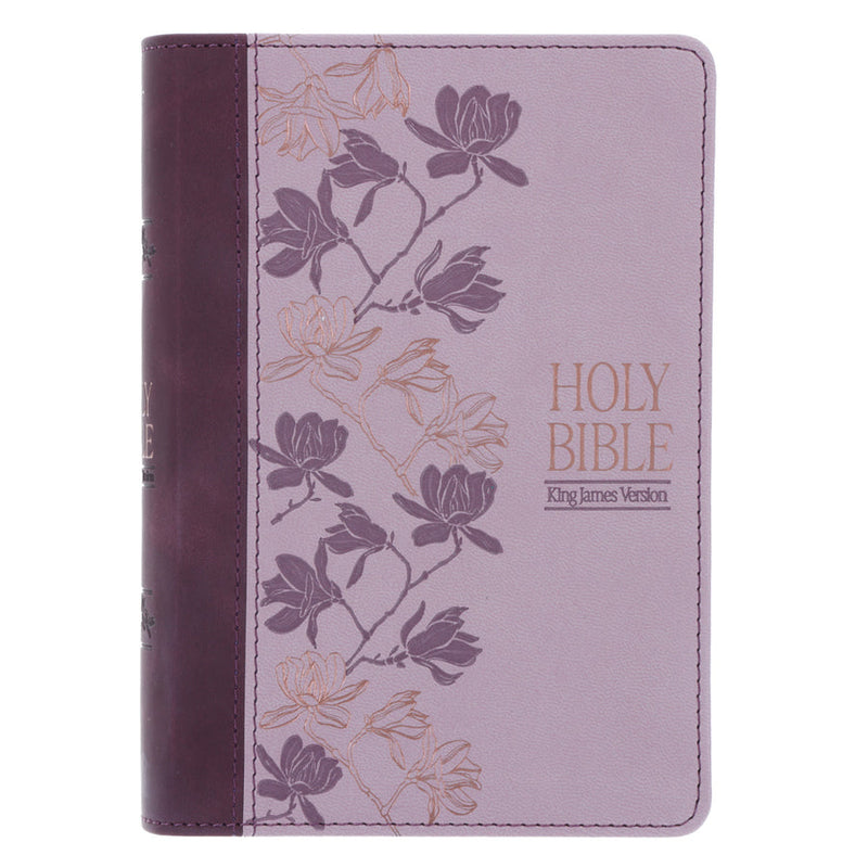 KJV The Holy Bible (Large Print Compact Bible)