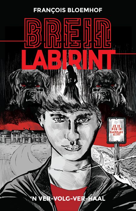Brein Labirint