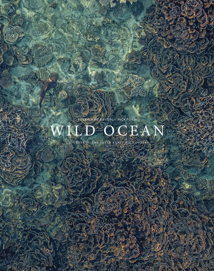 Wild Oceans: A Journey into the Earth&