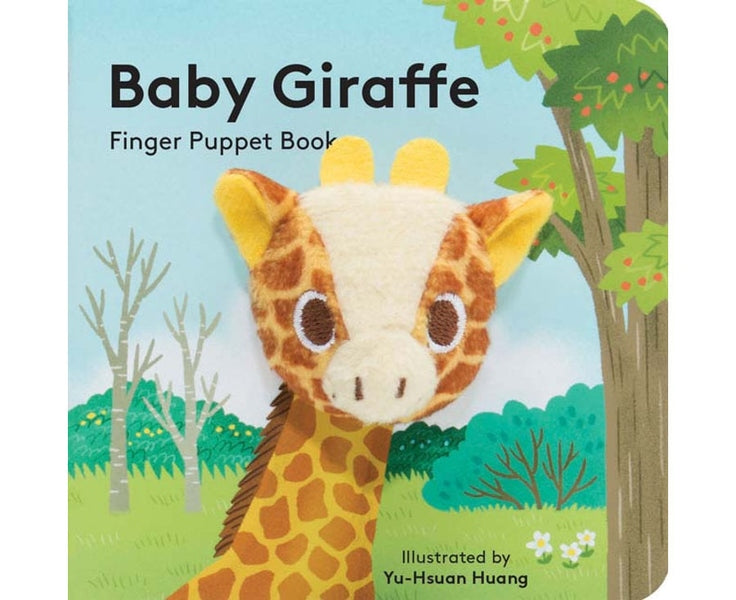 Baby Giraffe