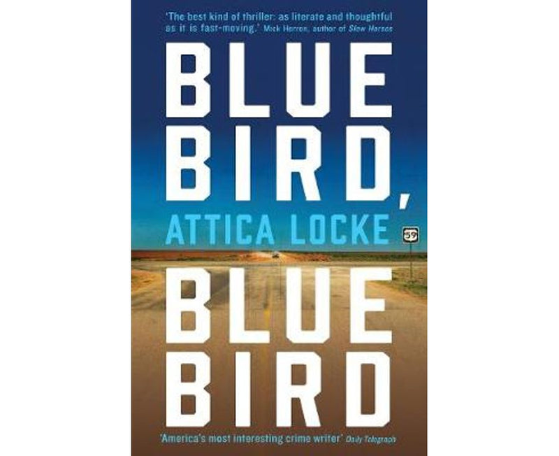 Bluebird, Bluebird