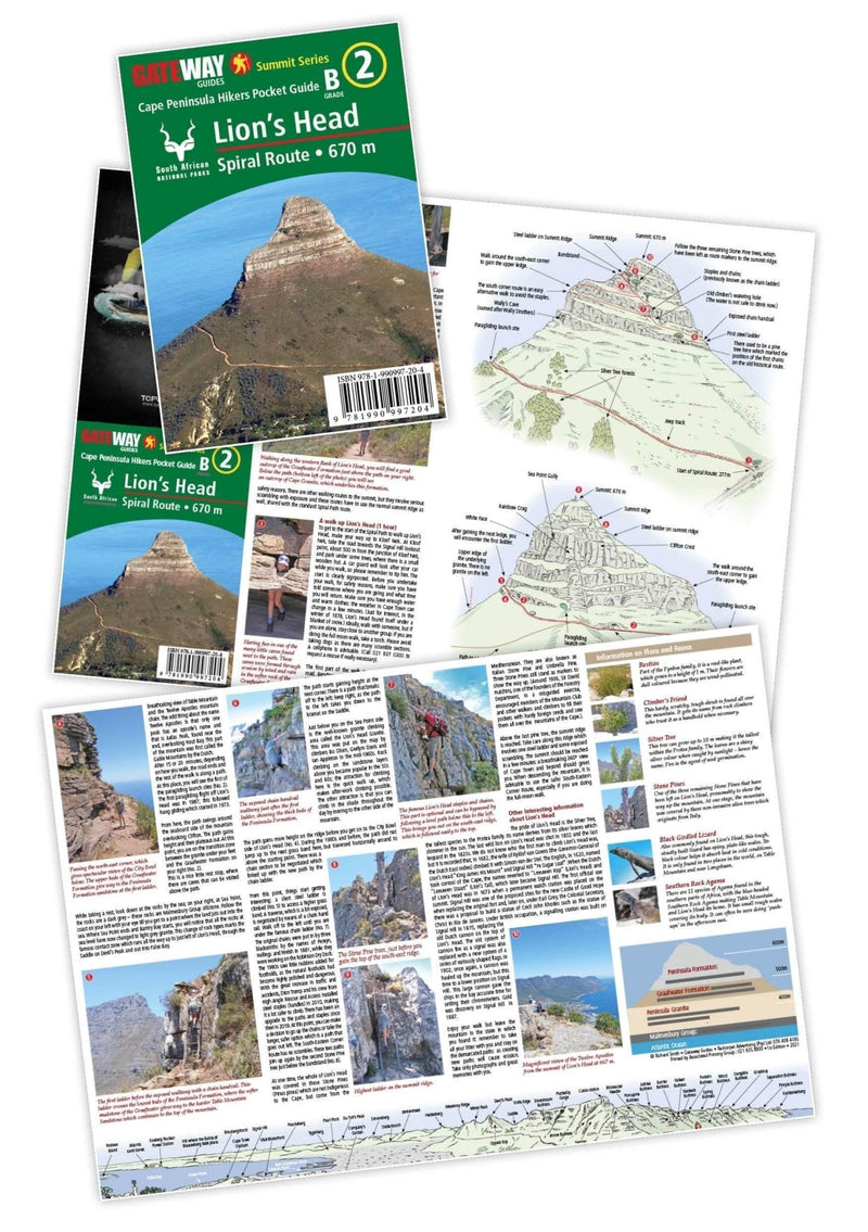 Lions Head Guide B Grade - Readers Warehouse
