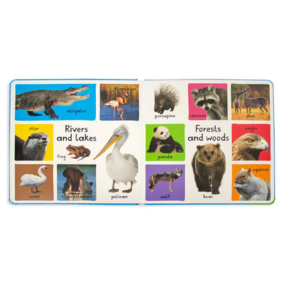 My First 100 Animals - Readers Warehouse