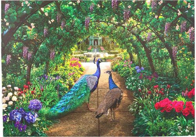 Peacock Pathway - 1000 Jigsaw Puzzle - Readers Warehouse