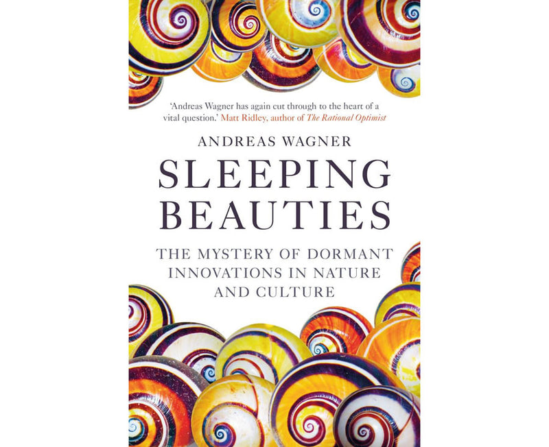 Sleeping Beauties