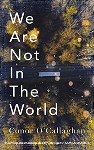 We Are Not In The World - Readers Warehouse