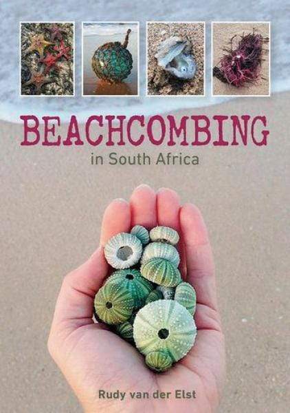 Beachcombing in South Africa - Readers Warehouse