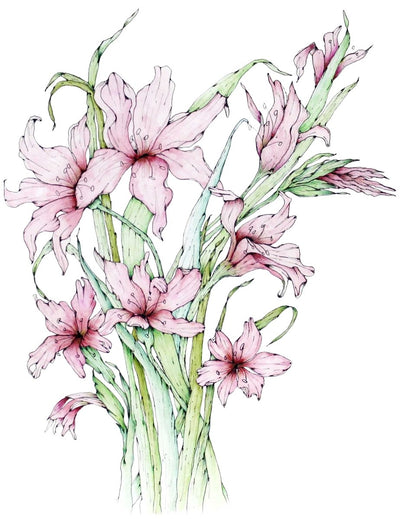 Cape Gladiolus Yearly Desk Planner - Readers Warehouse