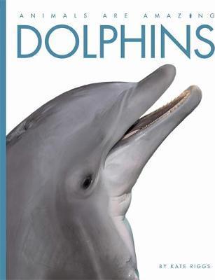 Dolphins - Readers Warehouse