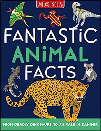 Fantastic Animal Facts - Readers Warehouse