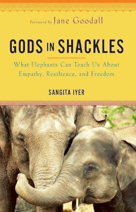 Gods In Shackles - Readers Warehouse
