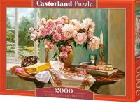Present For Lindsay - 2000 Piece Puzzle - Readers Warehouse