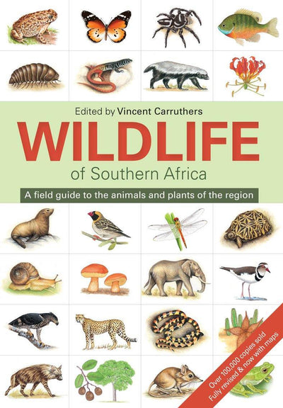 Wildlife Of Southern Africa Vincent Carruthers